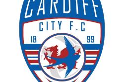 开云体育在线-卡迪夫城客场遭遇失利，保级前景堪忧