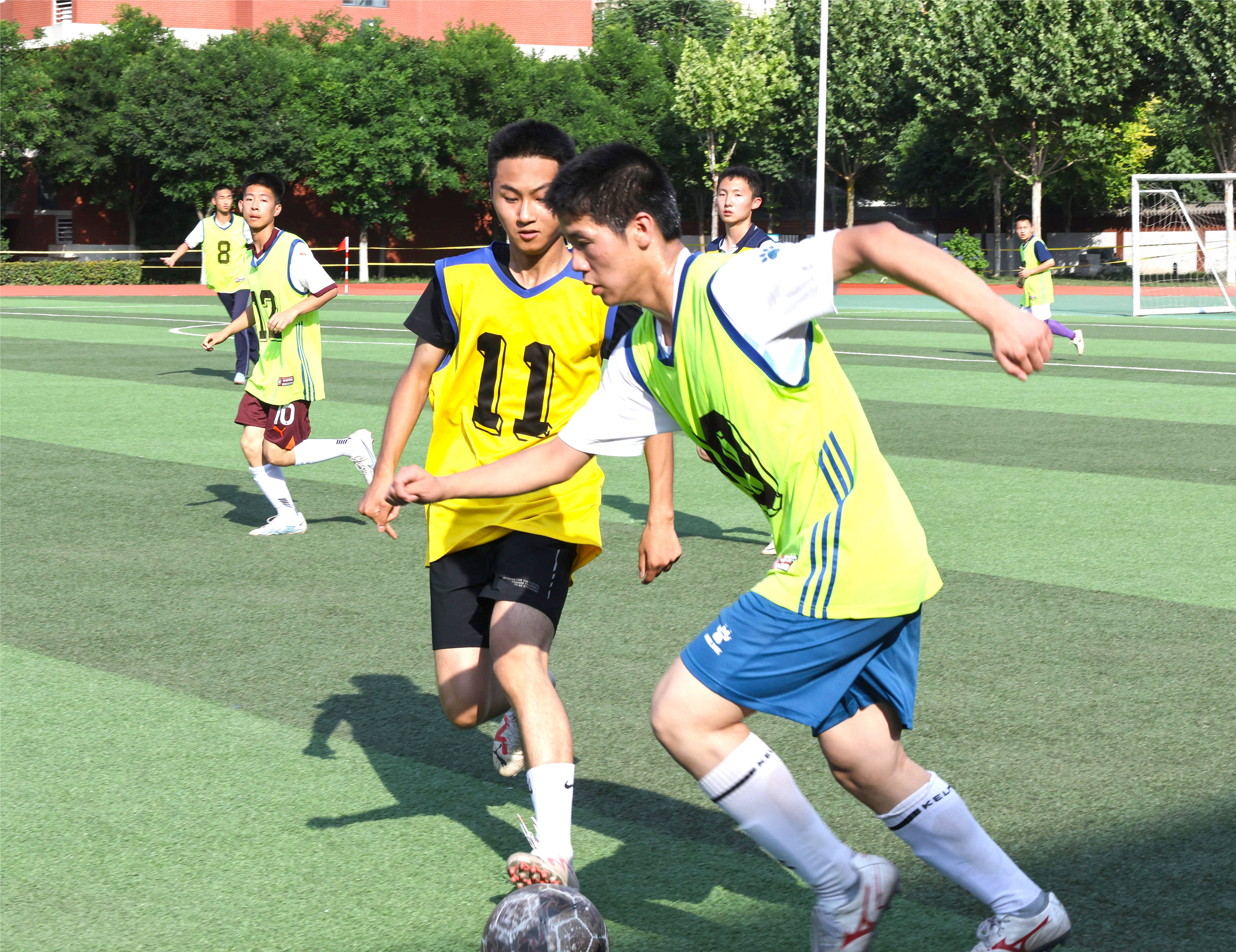 体育圈热议足球盛事,赛场精彩纷呈 体育圈热议足球盛事,赛场精彩纷呈